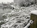 大雪