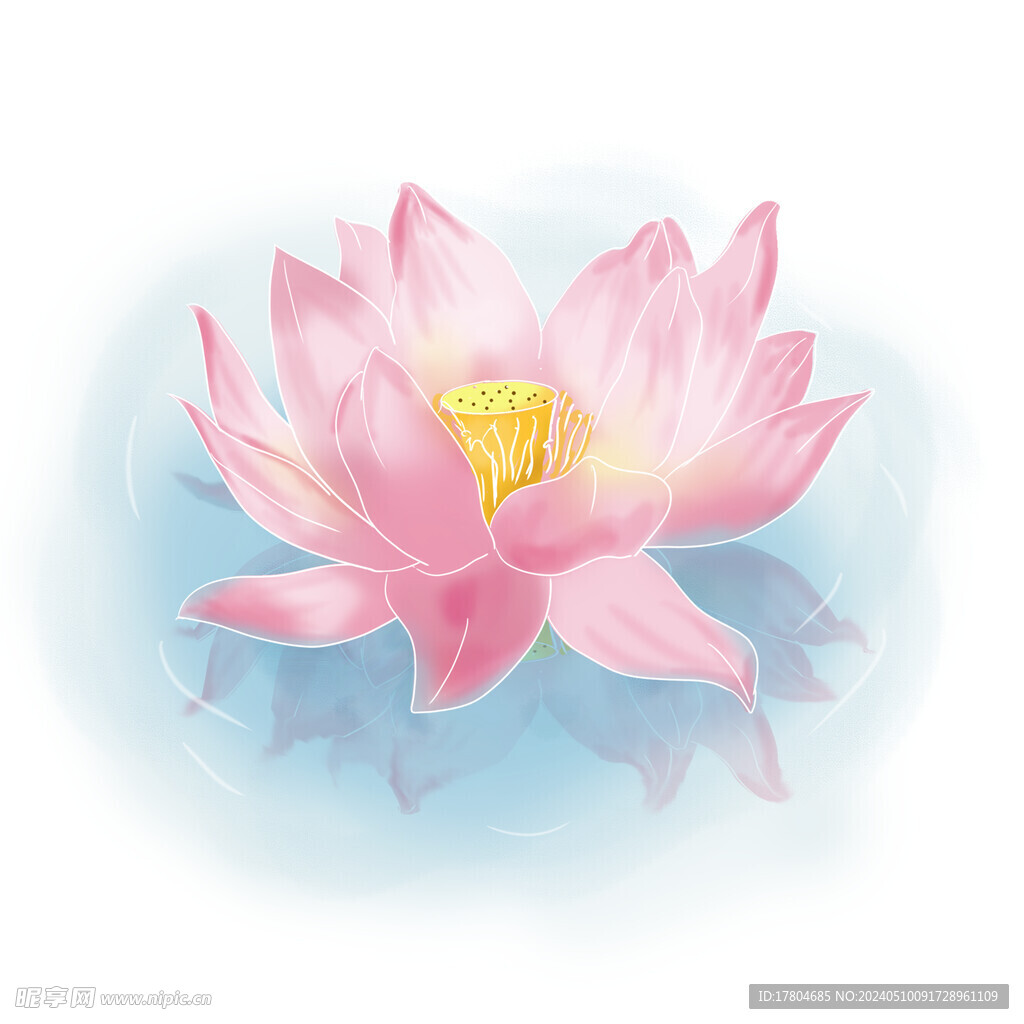 荷花素材