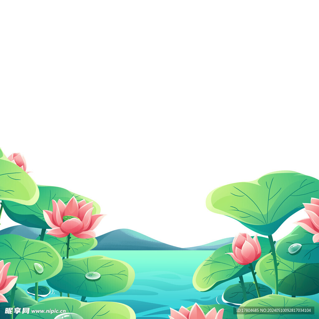 荷花素材