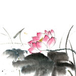 荷花素材