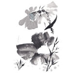 荷花素材