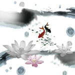 荷花素材