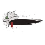 荷花素材