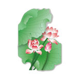 荷花素材