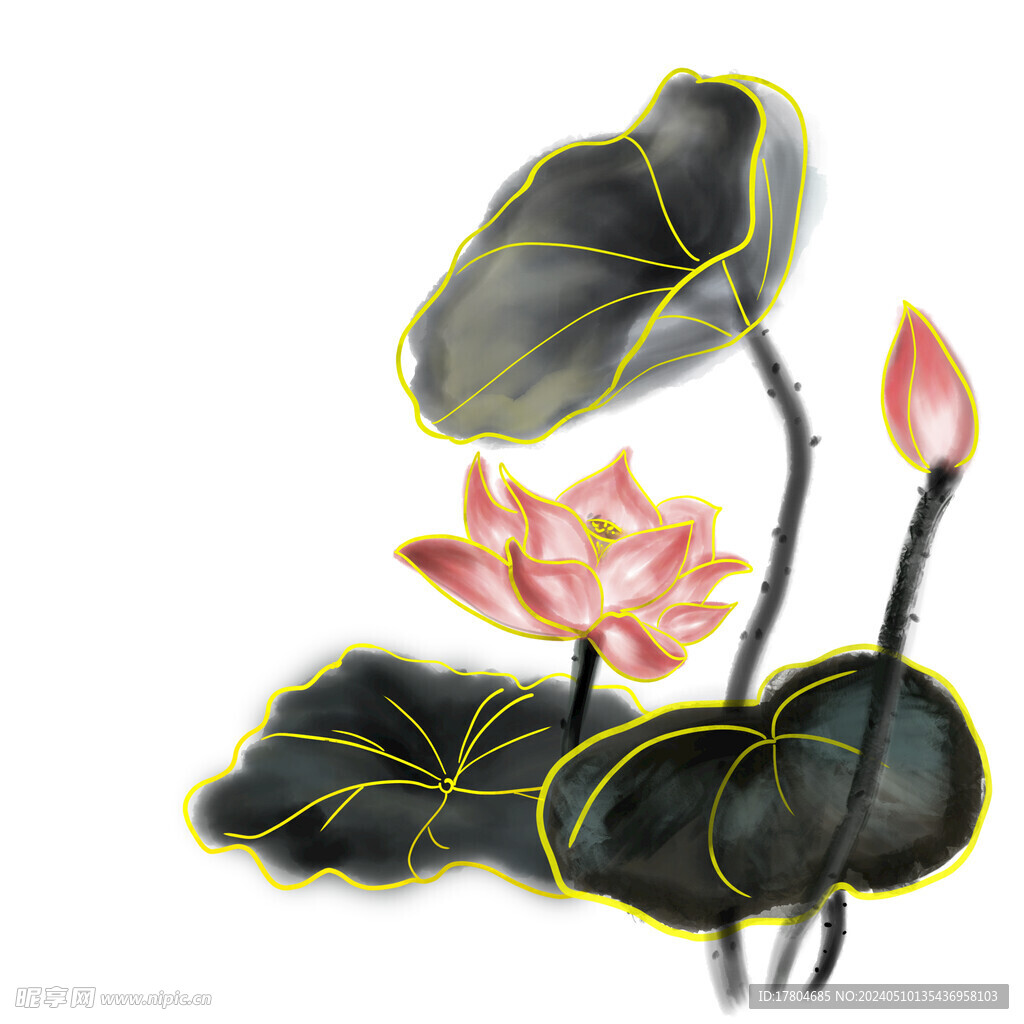 荷花素材