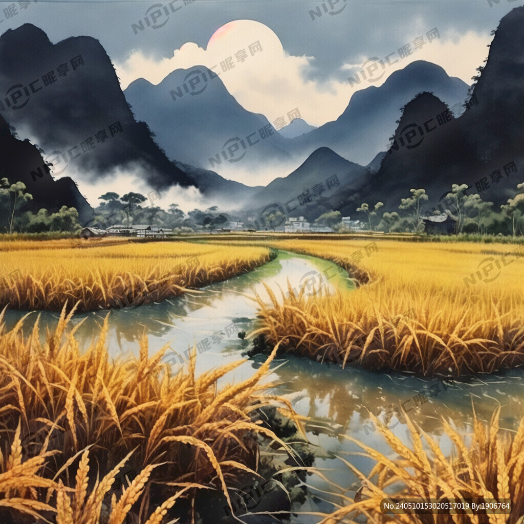 画一幅水稻成熟的稻田