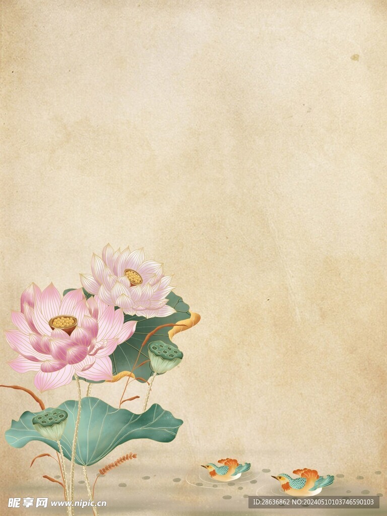传统荷花插画背景