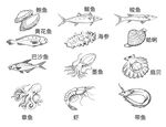 海鲜元素