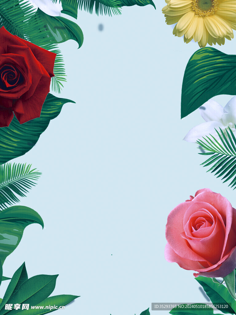 花朵边框 