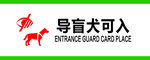 导盲犬可入