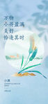 小满