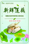 新鲜莲藕