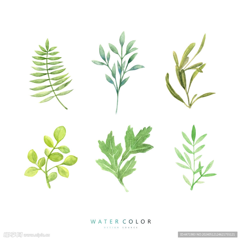 水彩绿色植物 