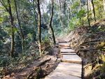 山林登山步道