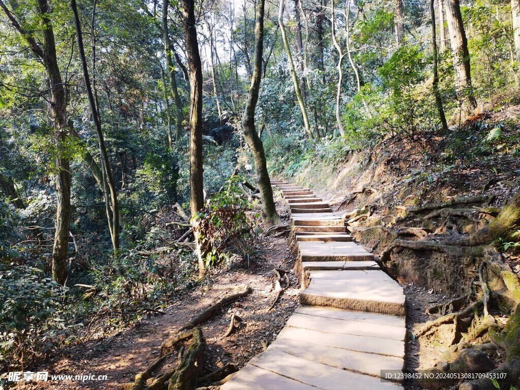 山林登山步道