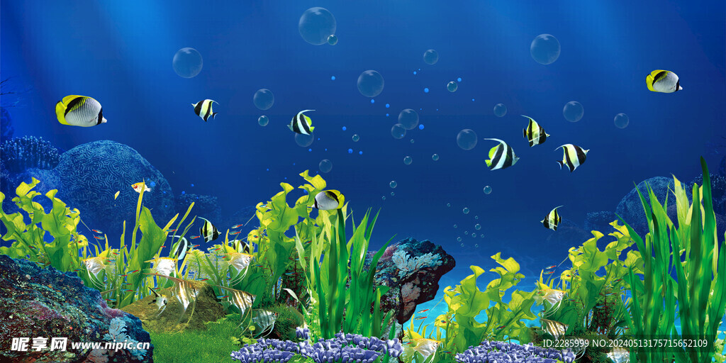 鱼缸背景海底背景