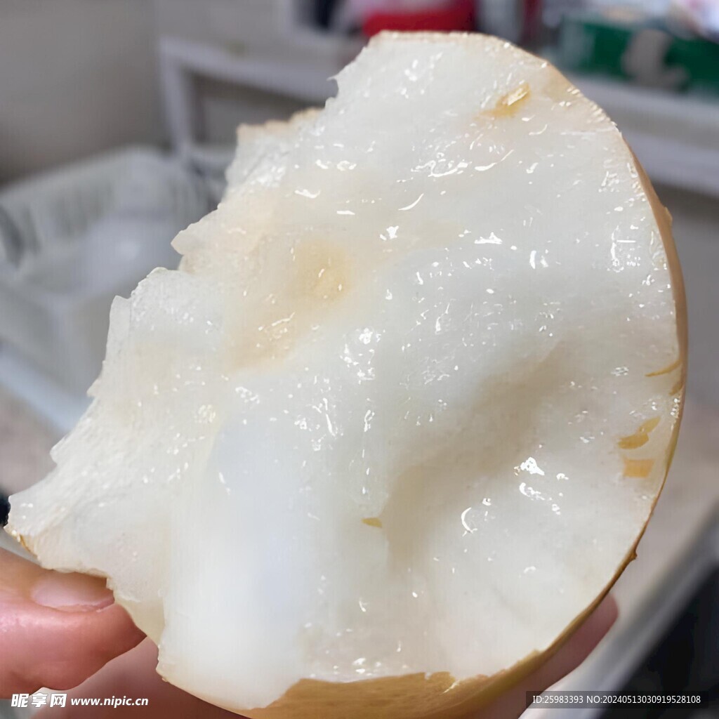雪梨