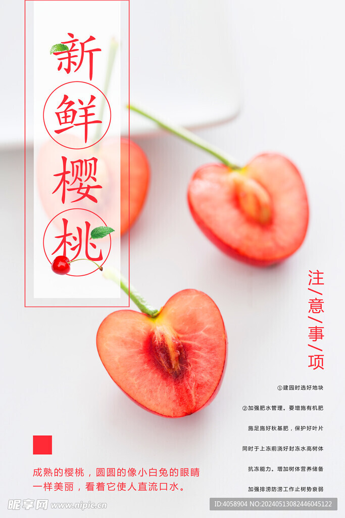 新鲜樱桃