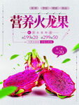 营养火龙果