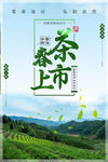 春茶上市