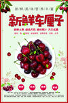 新鲜车厘子