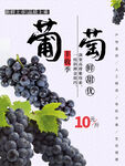 葡萄