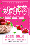 奶油草莓