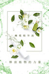 橄榄精华液