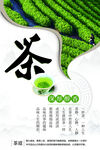 春茶上新