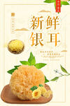 新鲜银耳