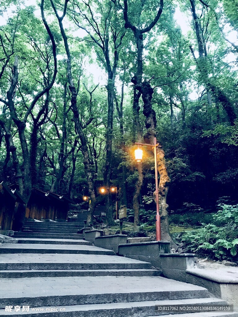 普陀岛禅寺石路