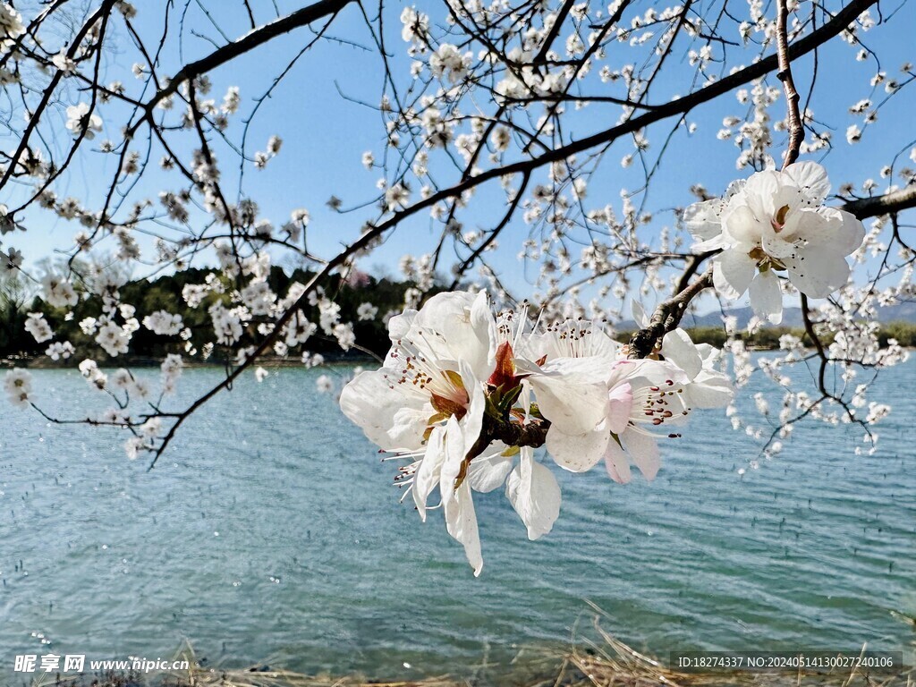 颐和园风景