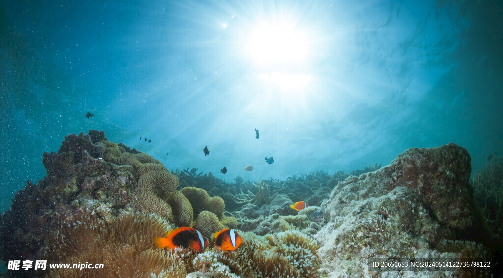 海底世界珊瑚礁水族馆