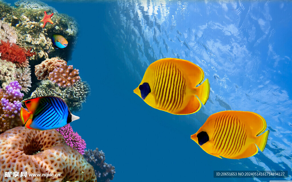 海底世界珊瑚海鱼