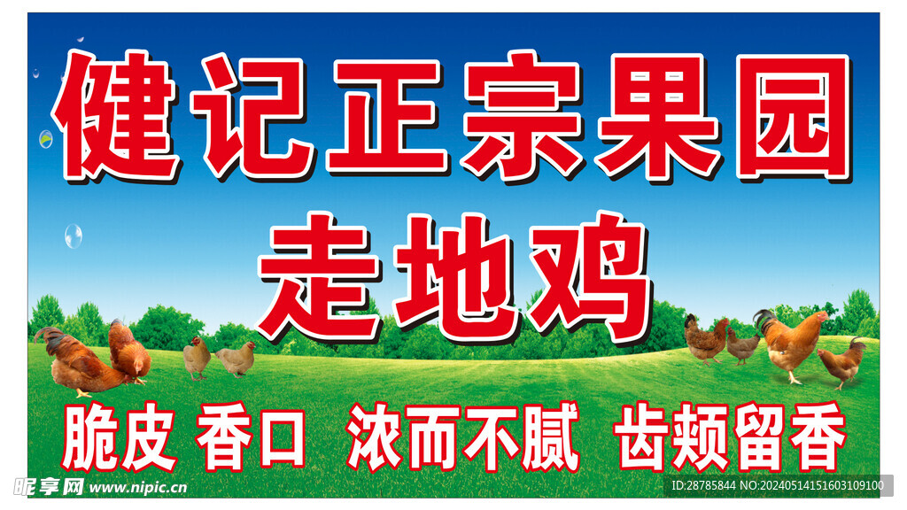 果园走地鸡