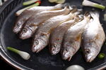 黄姑鱼