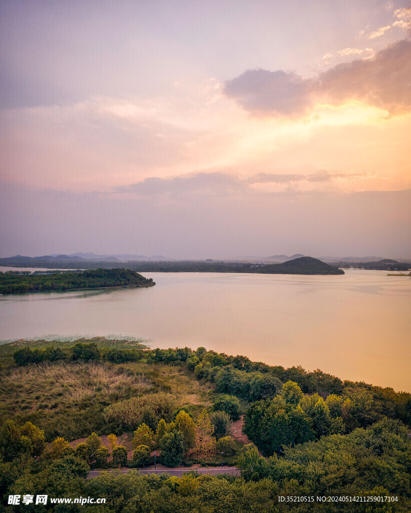 水岸绿化