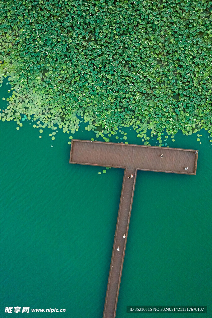 水岸木栈道