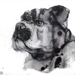 水墨动物插画