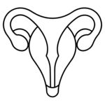 人体子宫 Logo