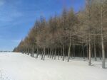 雪山风景