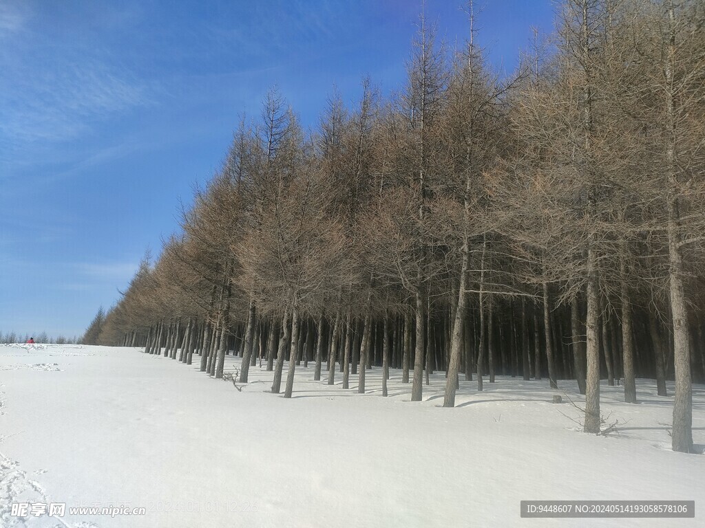 雪山风景