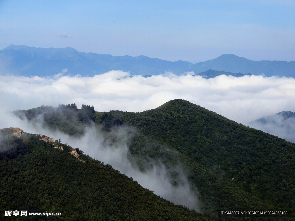 高山云海