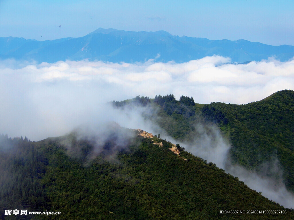 高山云海