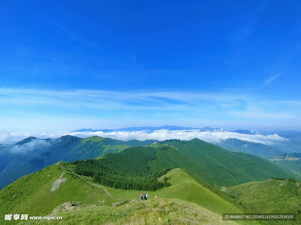 高山云海