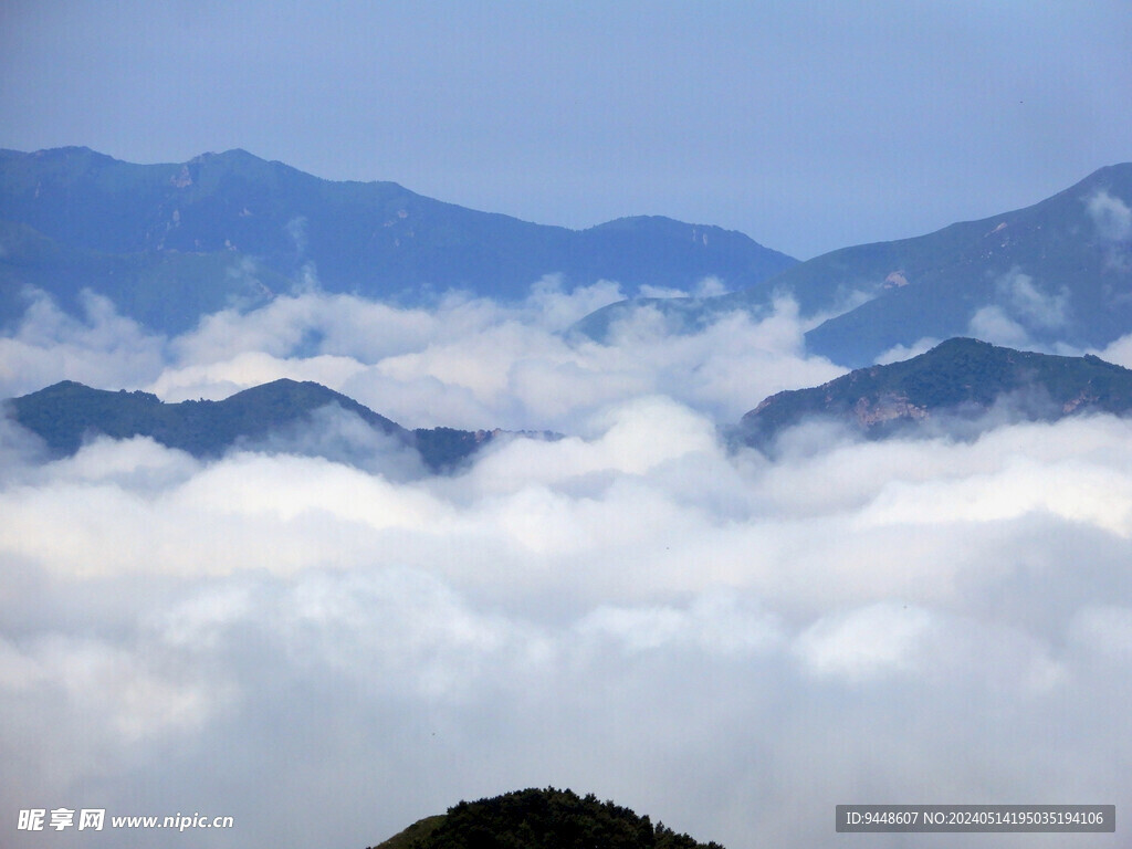 高山云海