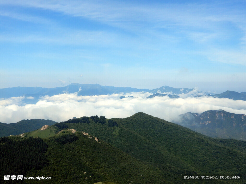 高山云海