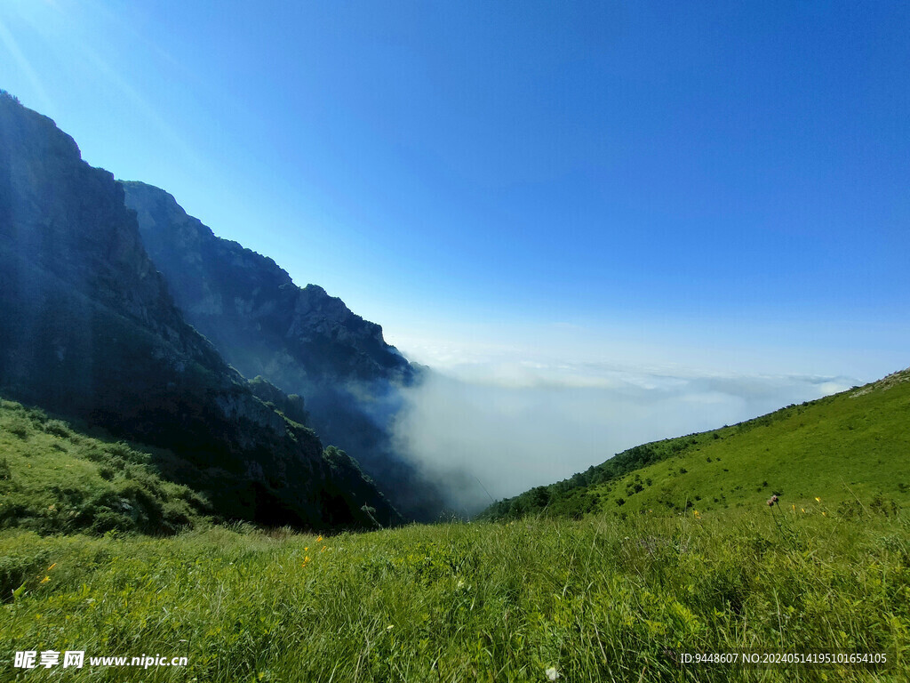 高山云海