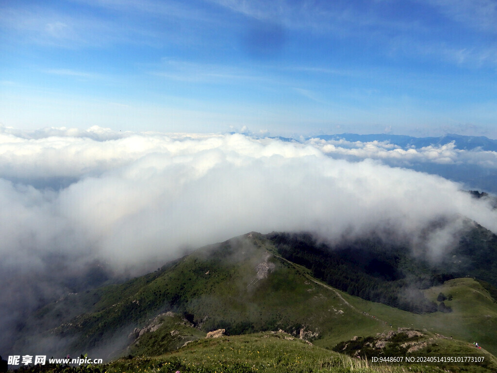 高山云海