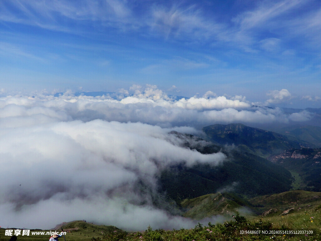 高山云海